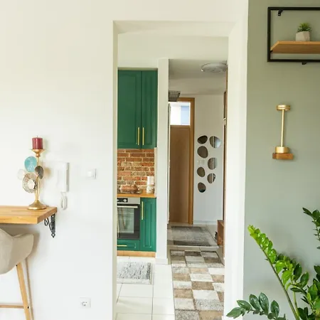 公寓 Sarmantan Stan U Centru Grada